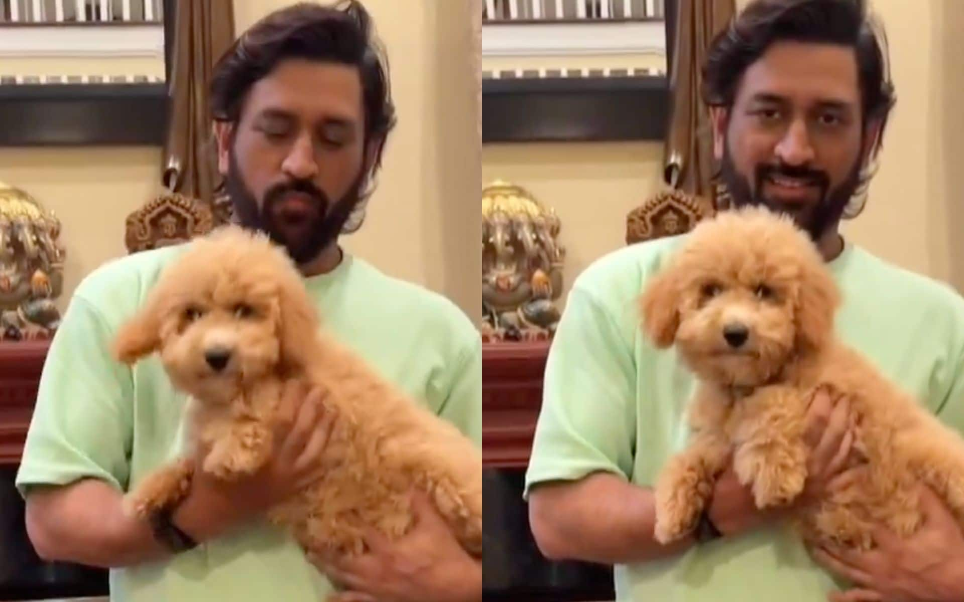 MS Dhoni with a cute puppy [Screengrab]